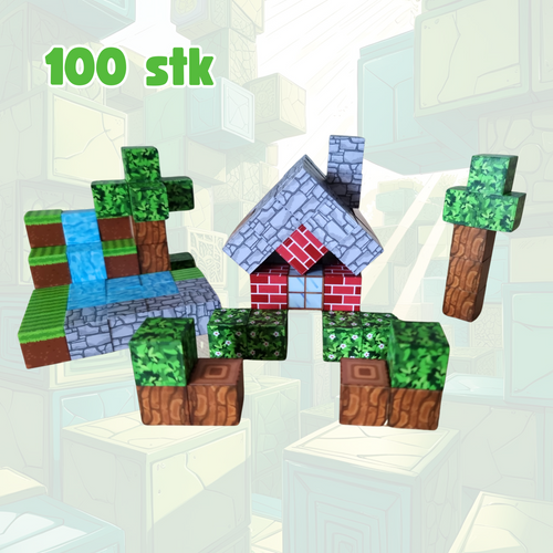 Einsteigerset 100 Stück