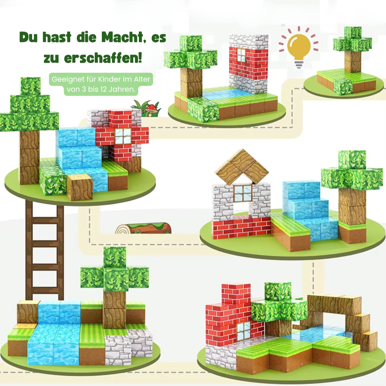Einsteigerset 100 Stück